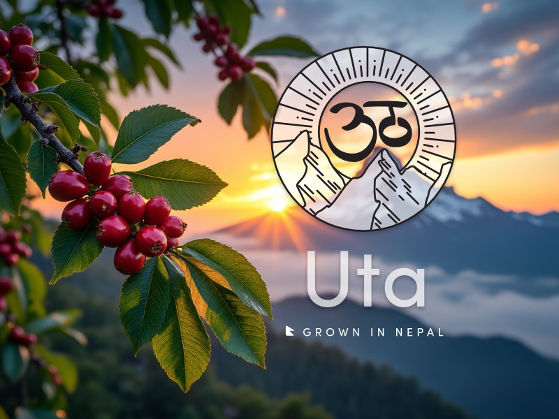 Tech startup campaign